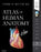 Atlas of Human Anatomy (Netter Basic Science) Netter MD, Frank H. - Very Good