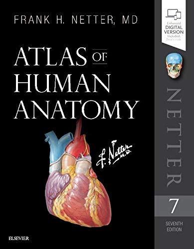 Atlas of Human Anatomy (Netter Basic Science) Netter MD, Frank H. - Very Good