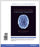 Foundations of Behavioral Neuroscience, Books a la Carte Edition - Acceptable