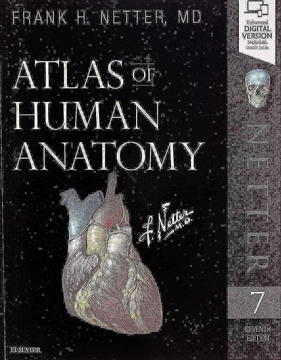 Atlas of Human Anatomy (Netter Basic Science) Netter MD, Frank H. - Very Good