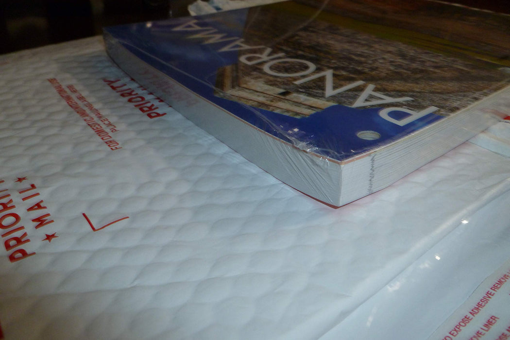 Panorama 5th Ed Looseleaf Textbook [Loose Leaf] Blanco, Donley - Like New