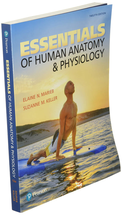 Essentials of Human Anatomy & Physiology - Good