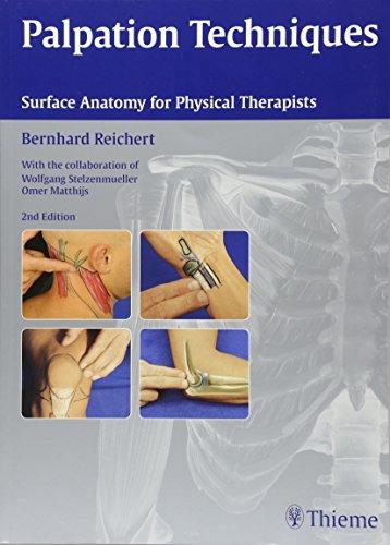 Palpation Techniques: Surface Anatomy for Physical Therapists, Paperback, 2nd edition by Reichert, Bernhard