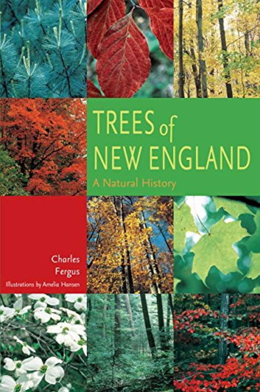 Trees of New England: A Natural History, Paperback, 1st Edition by Fergus, Charles