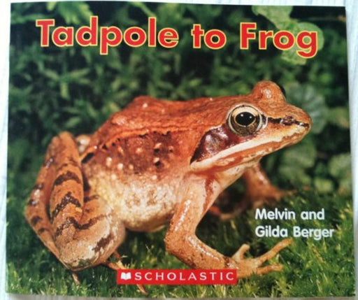 Tadpole to Frog (Scholastic Readers), Paperback (Used)