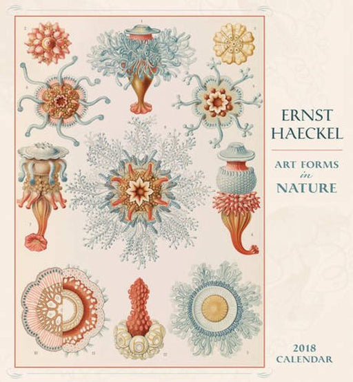 Ernst Haeckel: Art Forms in Nature 2018 Wall Calendar, Calendar, Wall Calendar Edition by Ernst Haeckel (Used)
