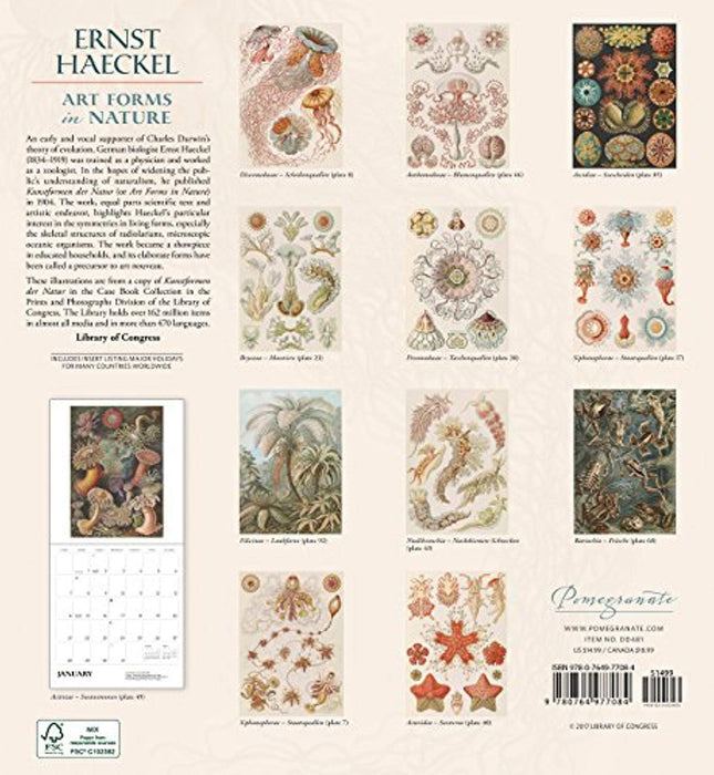 Ernst Haeckel: Art Forms in Nature 2018 Wall Calendar, Calendar, Wall Calendar Edition by Ernst Haeckel (Used)