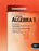 Larson Algebra 1 Assessment Book (Common Core Edition), Paperback, 1 Edition by Ron Larson (Used)