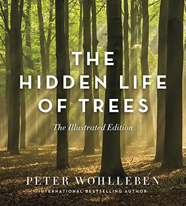 The Hidden Life of Trees: The Illustrated Edition, Hardcover, Abridged Edition by Wohlleben, Peter (Used)