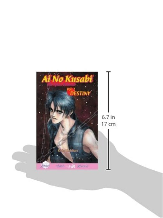 Ai No Kusabi The Space Between Volume 2: Destiny (Yaoi Novel)