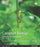 Campbell Biology: Concepts &amp; Connections, Global Edition, Paperback, 8 Edition by Reece, Jane B et al (Used)