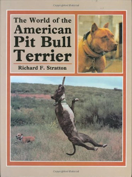 The World of the American Pit Bull Terrier